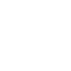 logo valores blanco